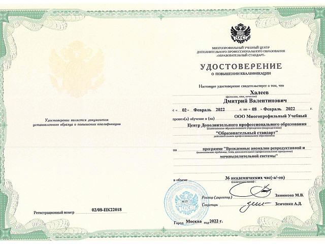 Халеев Дмитрий Валентинович