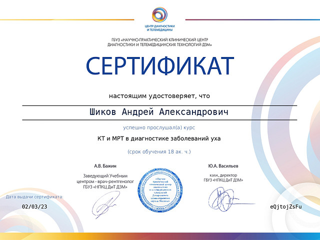 Шиков Андрей Александрович